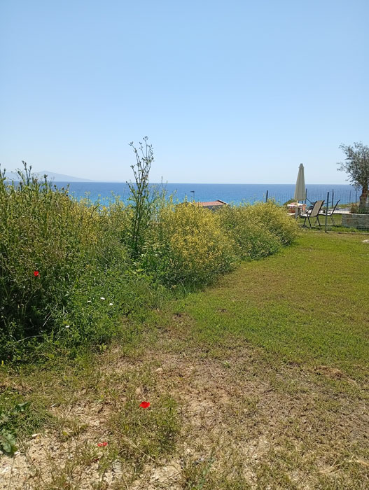 Διαμόρφωση εξωτερικού χώρου