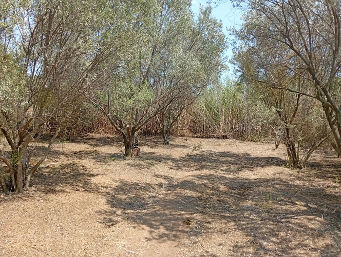 Αρχιτεκτονική τοπίου