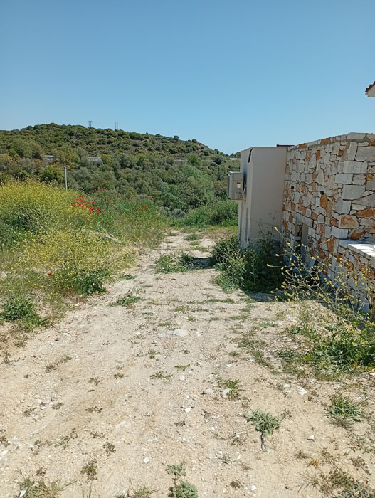 Περιποίηση λουλουδιών